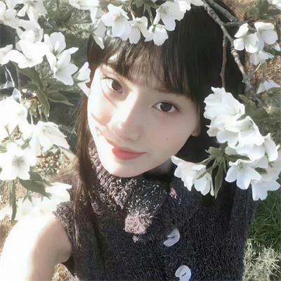 欲海女王蜂